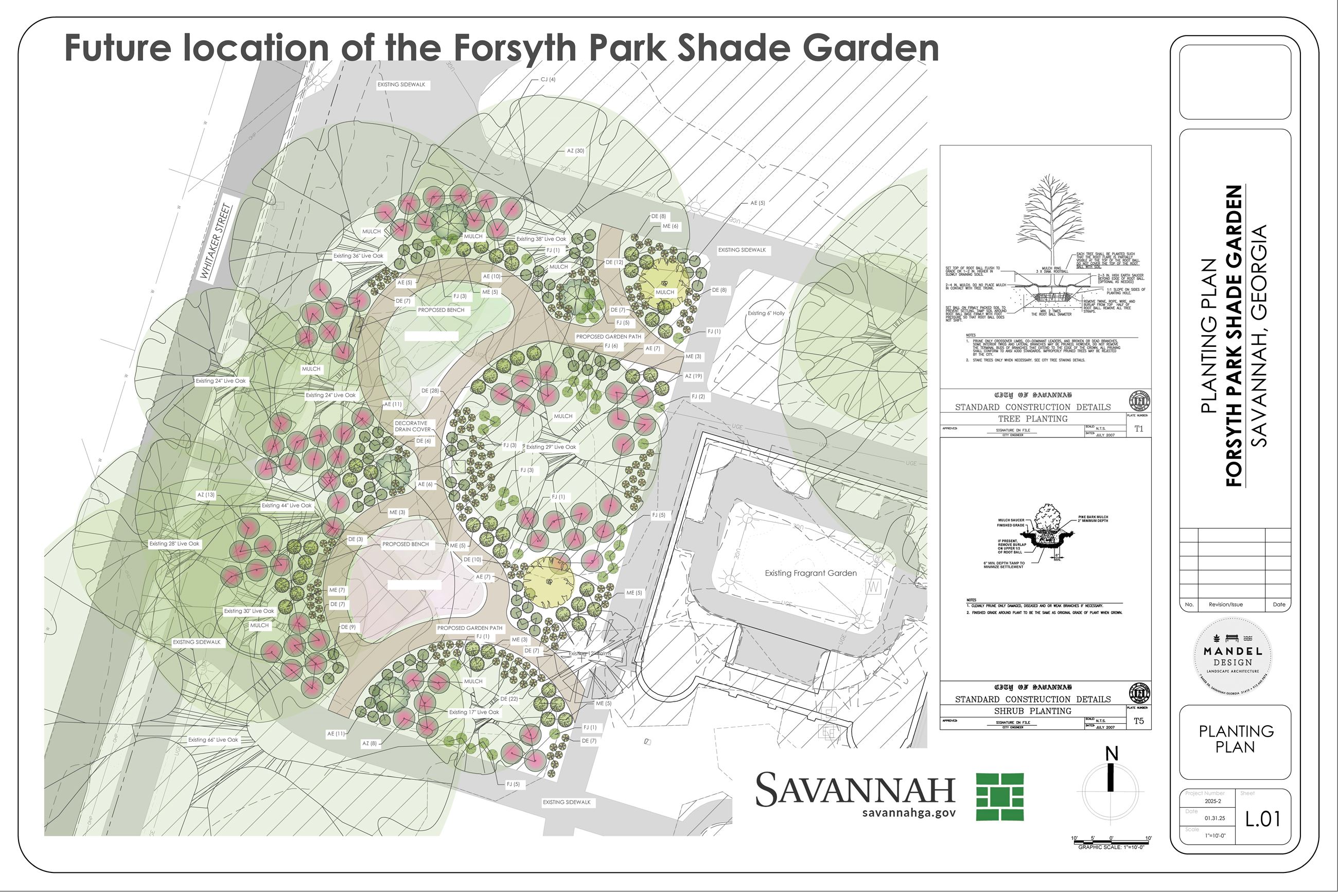 Shade Garden Planting Plan 01.31.25 (2)