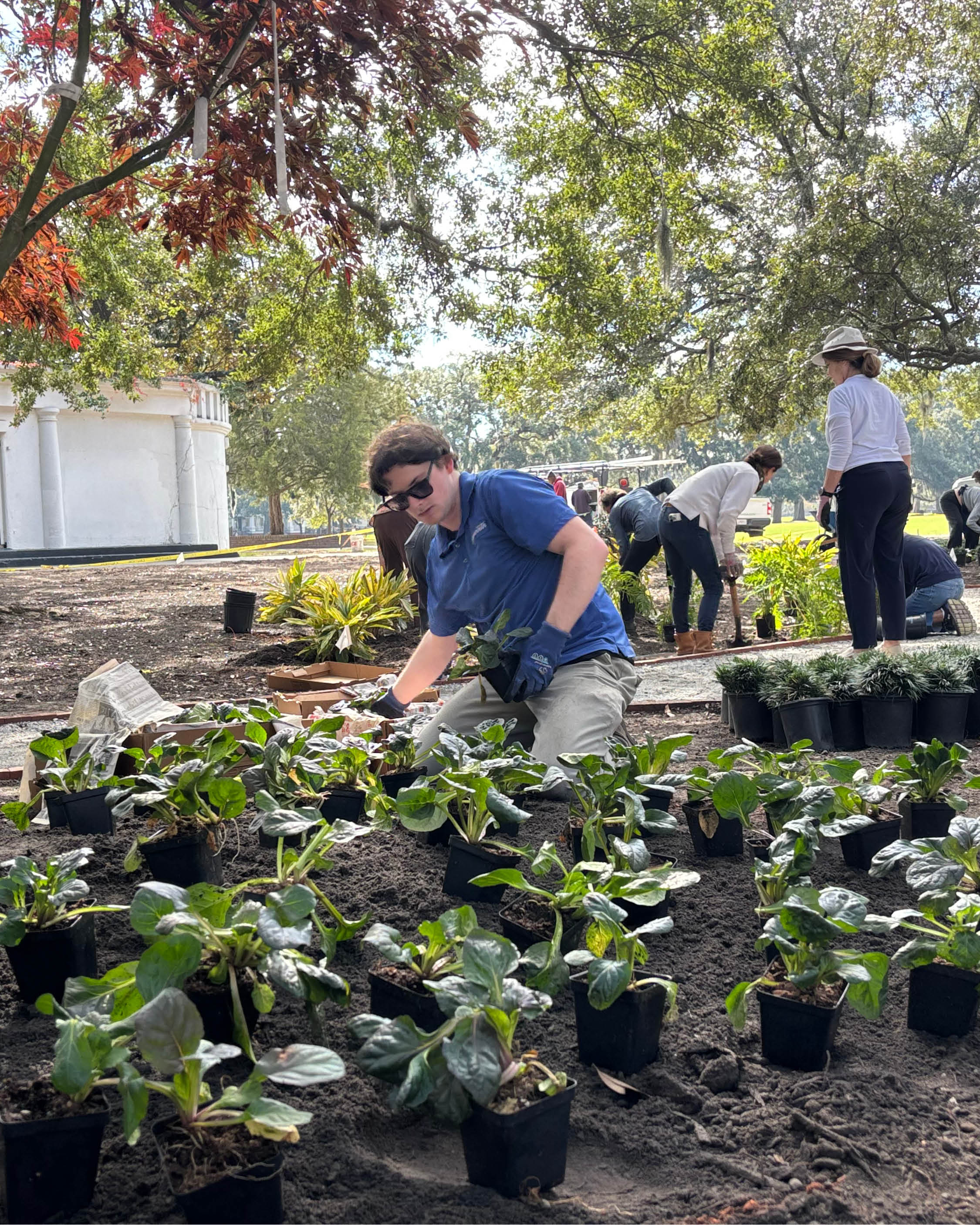 Photo Essay_Shade Garden6