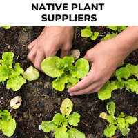 NativePlantSuppliers (1)