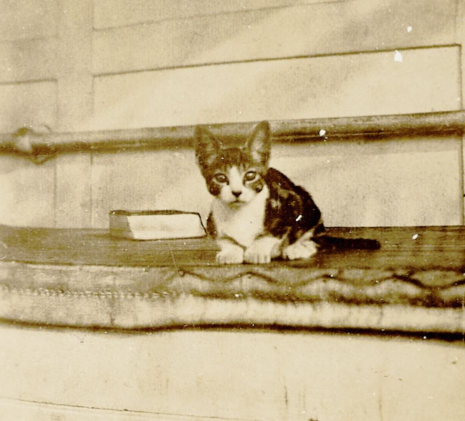 1121-070-04_405a_acc