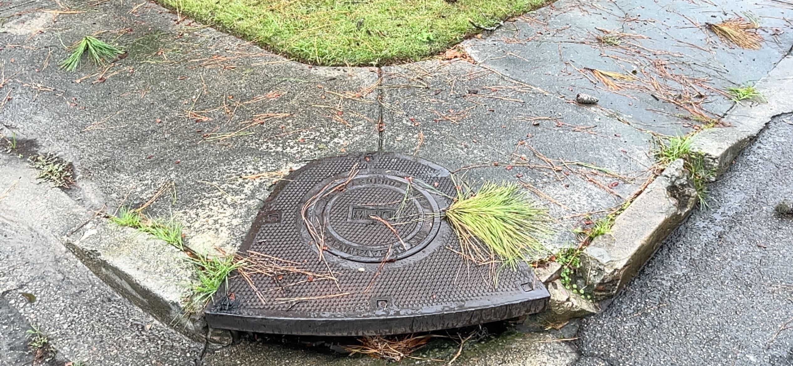 Gordonston West Corner of Edgewood and Kentucky 1a